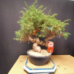 Itoigawa 21