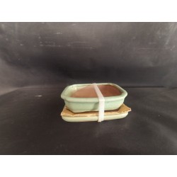 Maceta rectangular 15.5x11,5x4.5cm