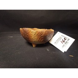 Maceta  redonda 12x5.5 cm