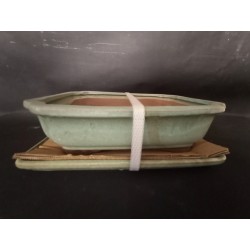 Maceta rectangular 27x21x7cm.