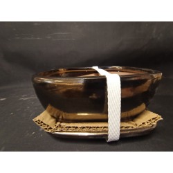 Maceta rectangular 16x12x6.5cm.