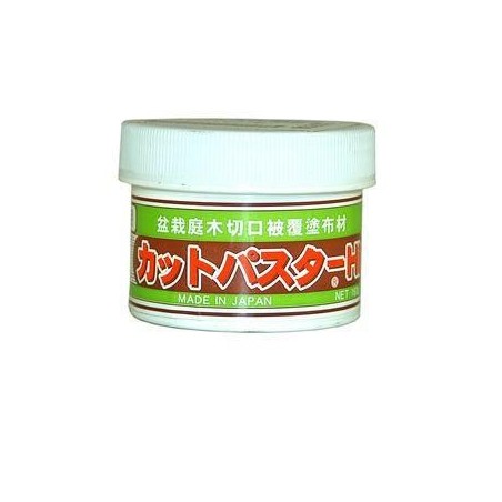 Pasta cicatrizante 160 gr