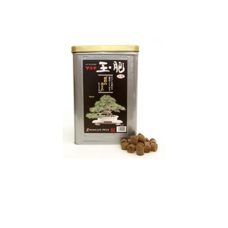 Tamahi 8 kg grano medio
