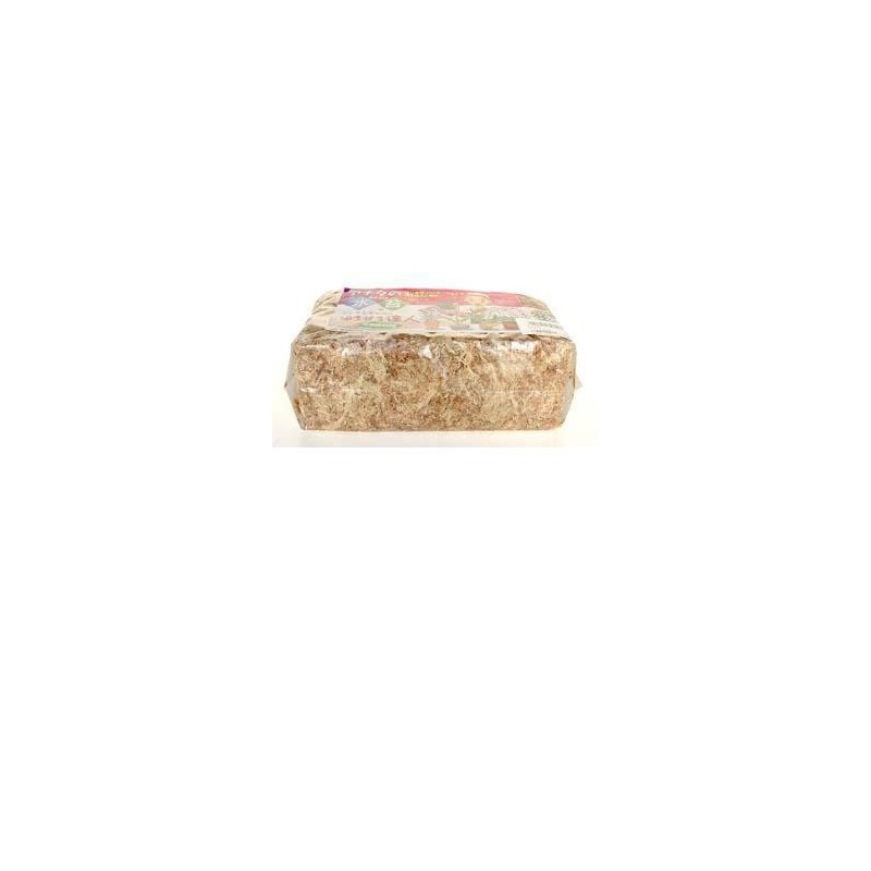Musgo sphagnum 150 gr