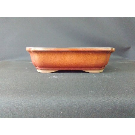 Maceta rectangular 21x16x5.8cm.
