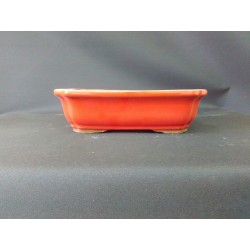 Maceta rectangular 21x16x5.8cm.