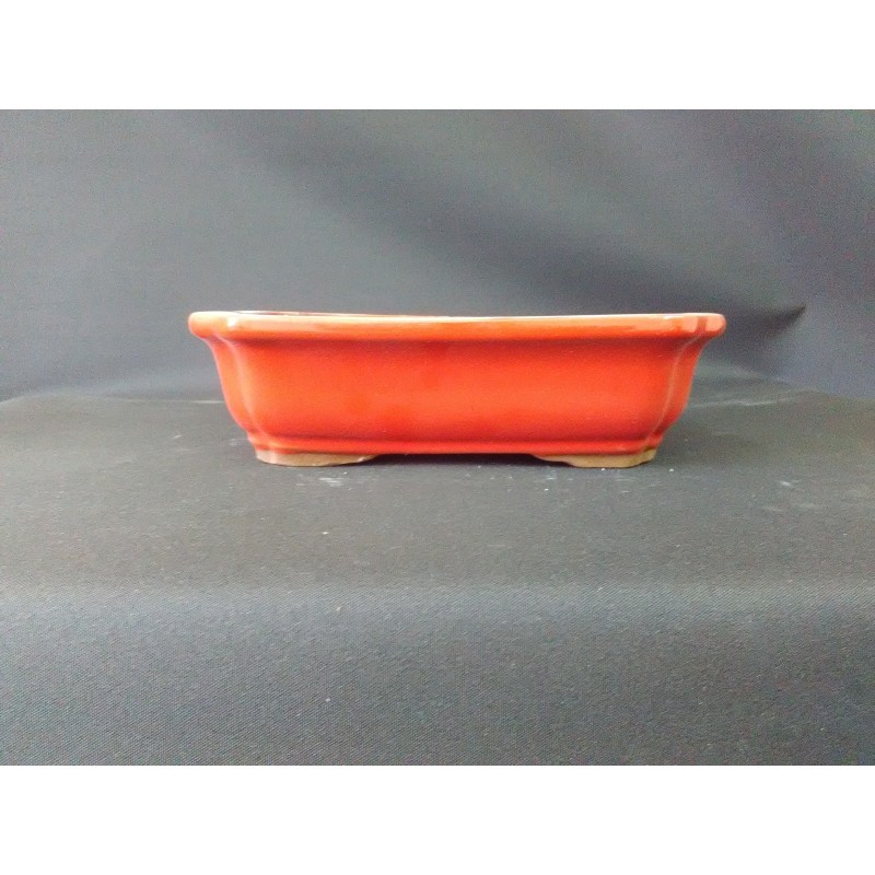 Maceta rectangular 21x16x5.8cm.