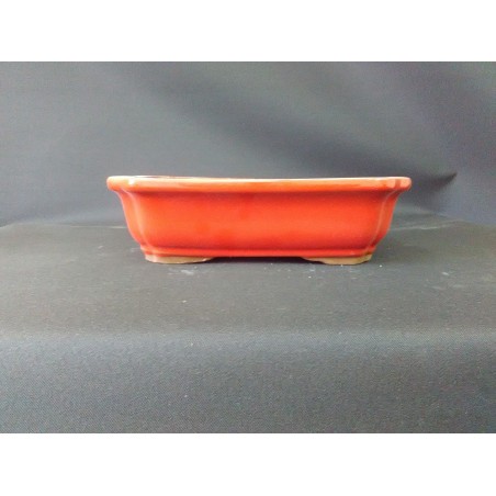 Maceta rectangular 21x16x5.8cm.
