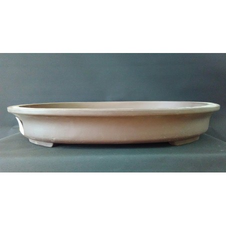 Maceta ovalada 56x44x10cm.