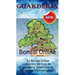 Servicio Guarderia