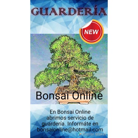 Servicio Guarderia