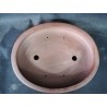 Maceta japonesa ovalada 34.5x28x5.5cm