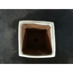 Maceta cuadrada/cascada 8.5x8.5x14cm.