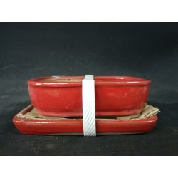 Maceta rectangular 15.5x11.5x4.5cm
