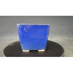 Maceta semi-cascada 8.5x8.5x9.2cm.