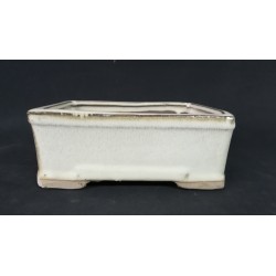 Maceta rectangular 16x11.5x6cm.