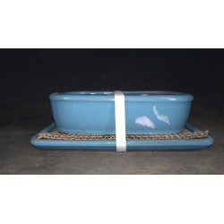 Maceta rectangular 21,5x15.5x5,5cm.