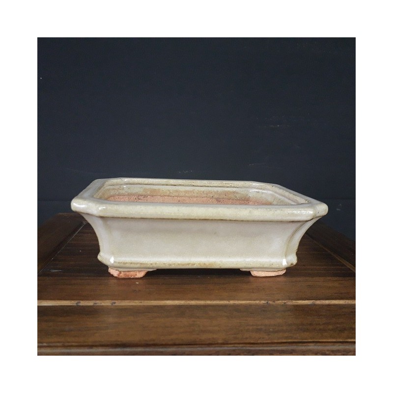 Maceta rectangular hattori 3