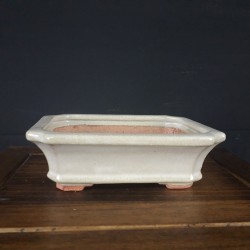Maceta rectangular hattori 5