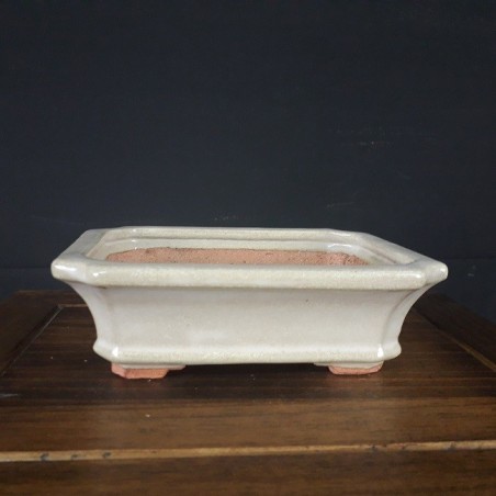 Maceta rectangular hattori 5