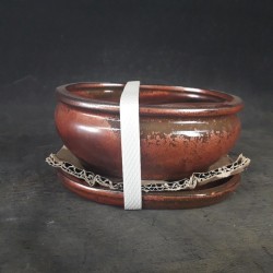 Maceta ovalada 15.5x12x6cm.