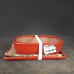 Maceta rectangular 21x16x5.5cm.