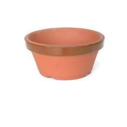 Maceta de entrenamiento 14,6 cm