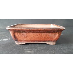 maceta rectangular 15.5x12.5x5.5cm.