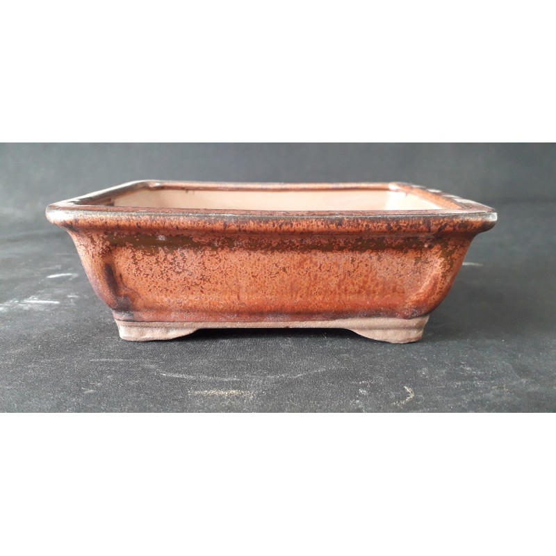 maceta rectangular 15.5x12.5x5.5cm.