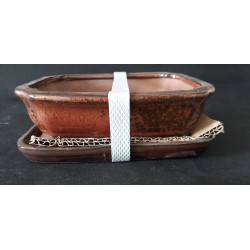 maceta rectangular 16x12x6cm.