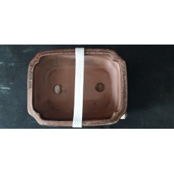 maceta rectangular 16x12x6cm.
