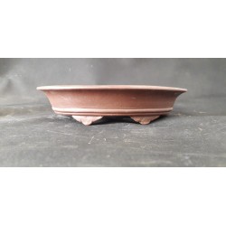 Maceta ovalada 20x13,5x4,5cm.