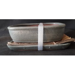 Maceta rectangular 16x12x4.5cm.
