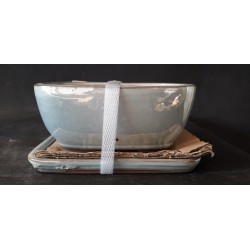 Maceta rectangular 16x12x6.5cm.