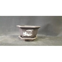 Maceta hexagonal/semi-cascasda 14.5x14.5x8cm.