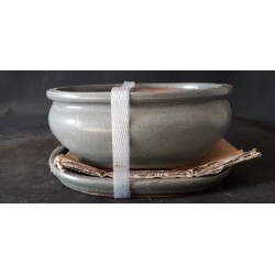 Maceta ovalada 15.5x12x6cm.