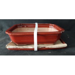 Maceta rectangular 27x21x7cm.